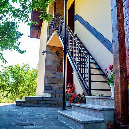 бойков рид *