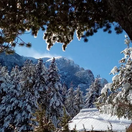 Villa бойков рид Razlog