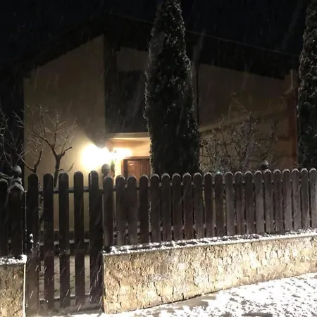 бойков рид *