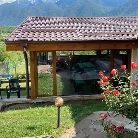 бойков рид *