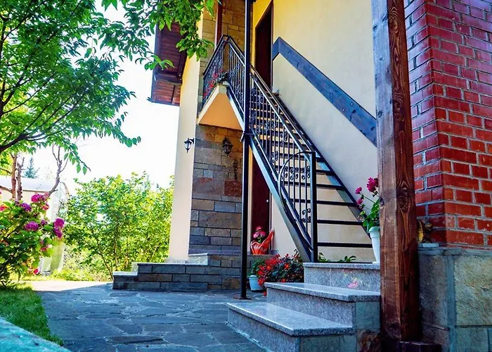 бойков рид *