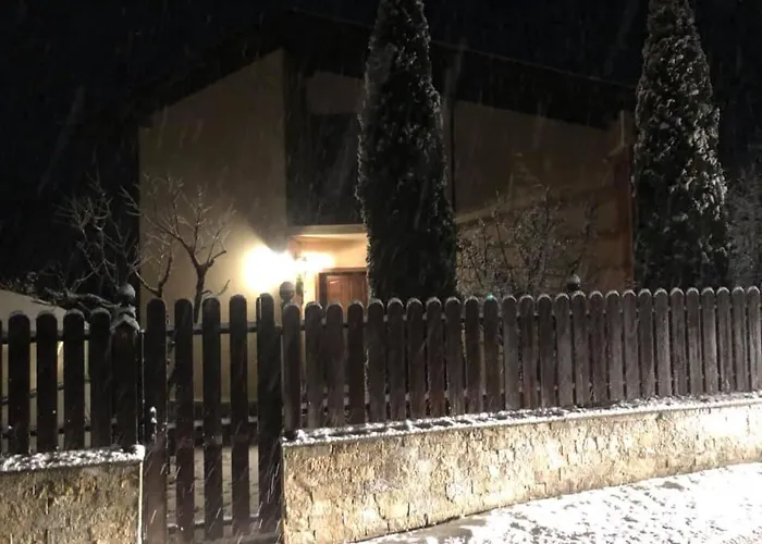 бойков рид *