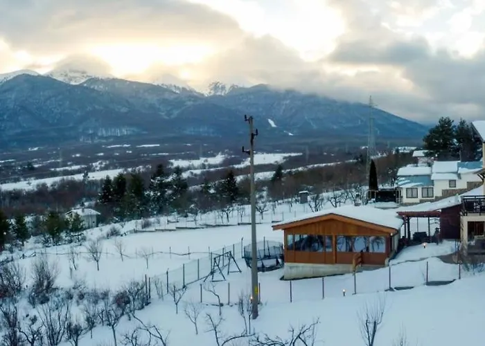 бойков рид * Razlog