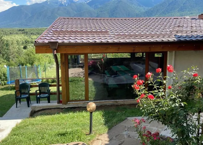 бойков рид *