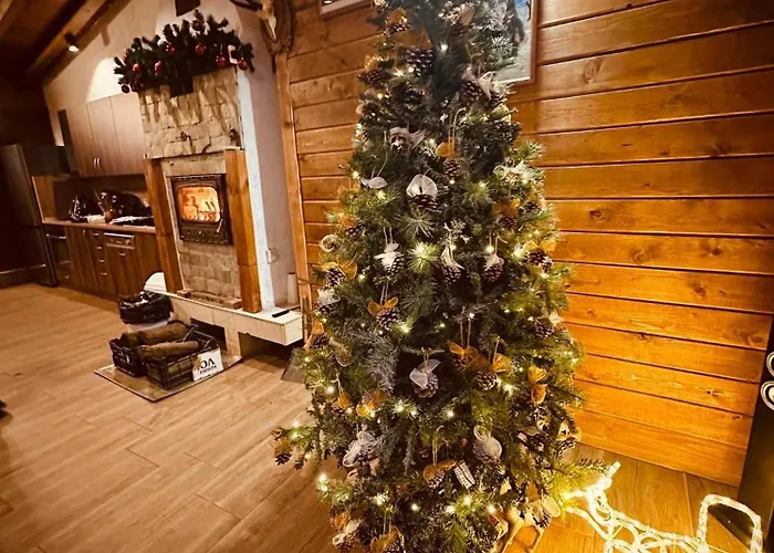 бойков рид * Razlog